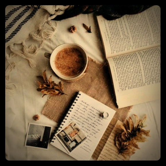 Meet your Posher, Brittany - Picture 1 of 1